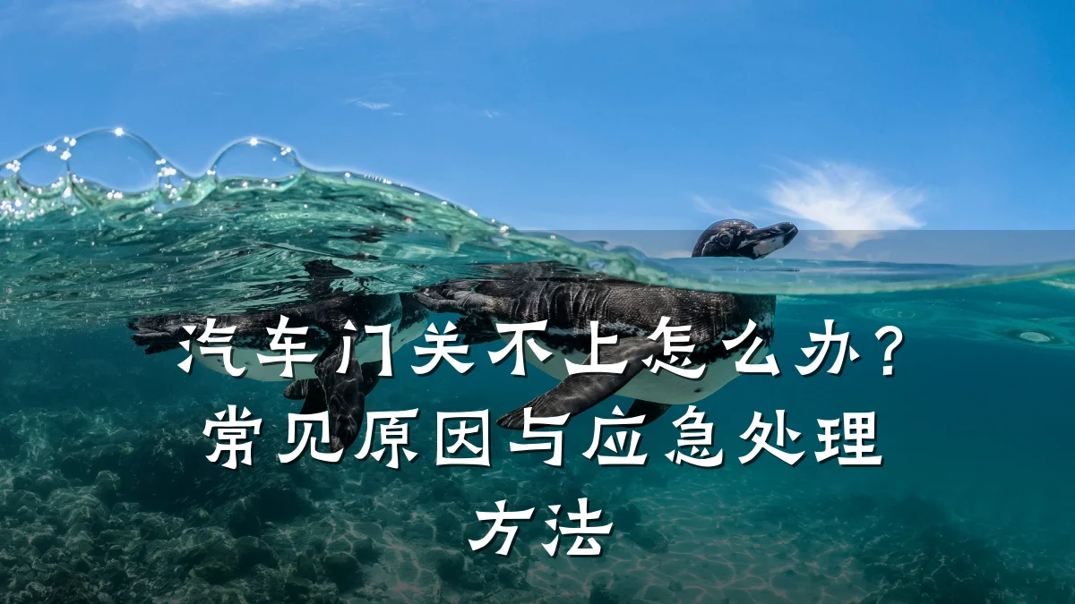 汽车门关不上怎么办?常见原因与应急处理方法