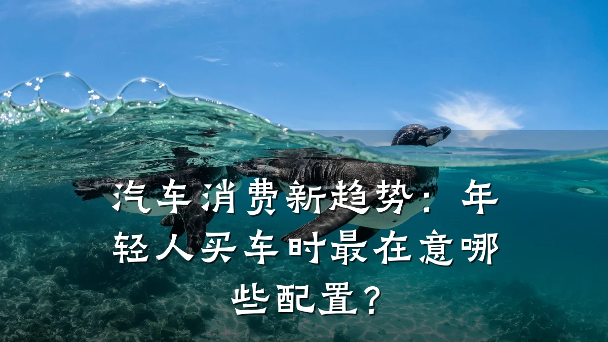 汽车消费新趋势:年轻人买车时最在意哪些配置?