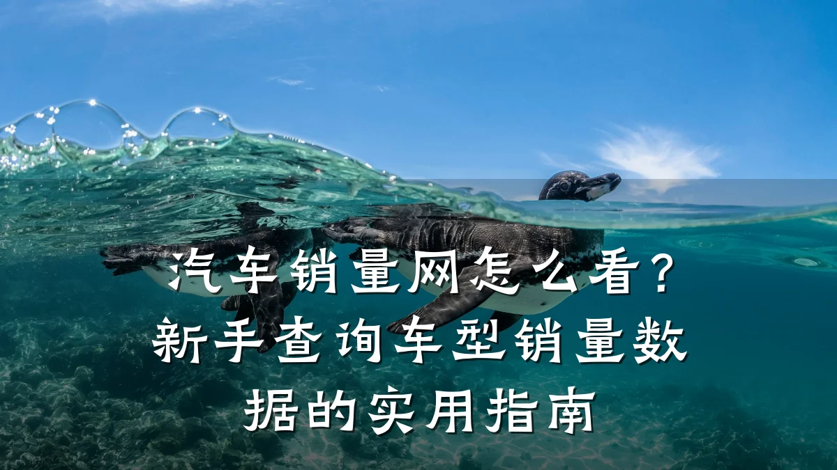 汽车销量网怎么看?新手查询车型销量数据的实用指南