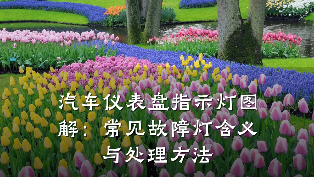 汽车仪表盘指示灯图解：常见故障灯含义与处理方法