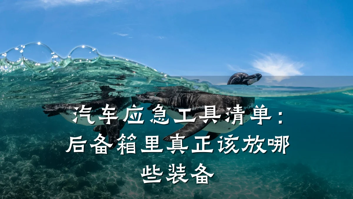 汽车应急工具清单：后备箱里真正该放哪些装备