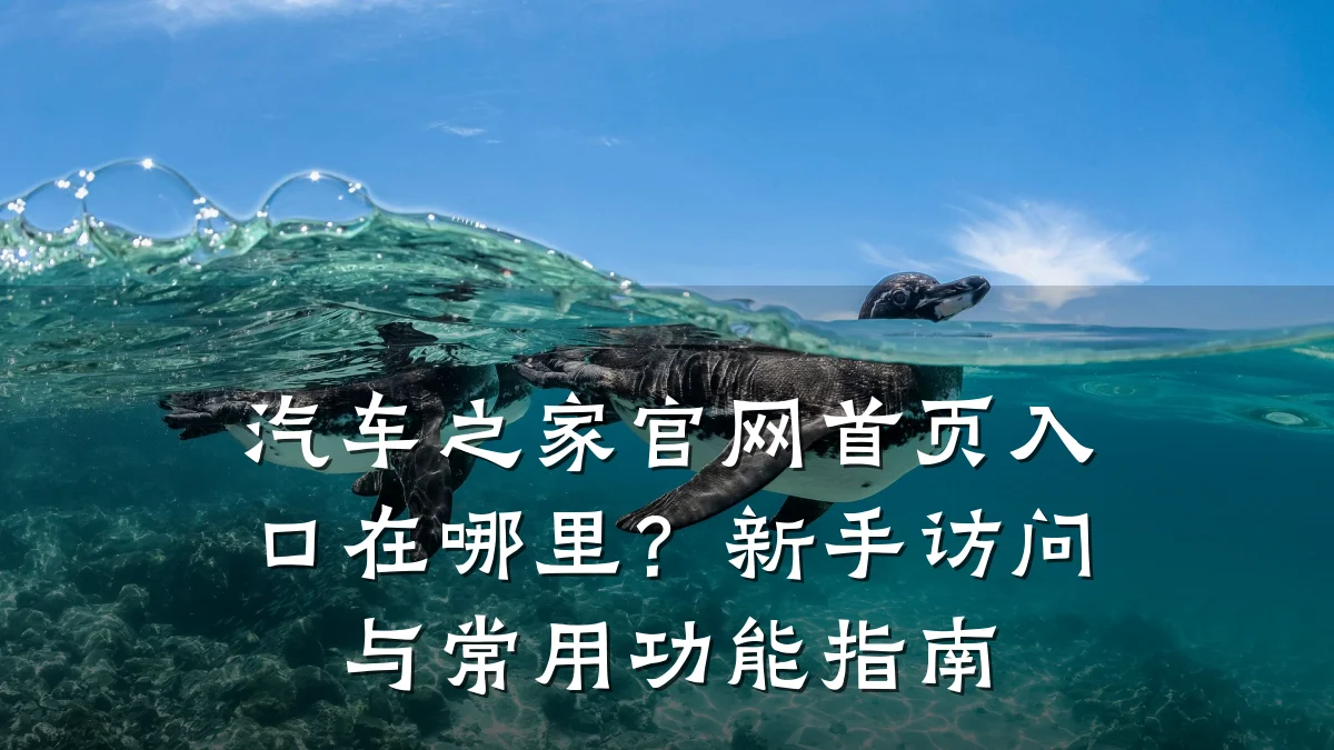 汽车之家官网首页入口在哪里?新手访问与常用功能指南