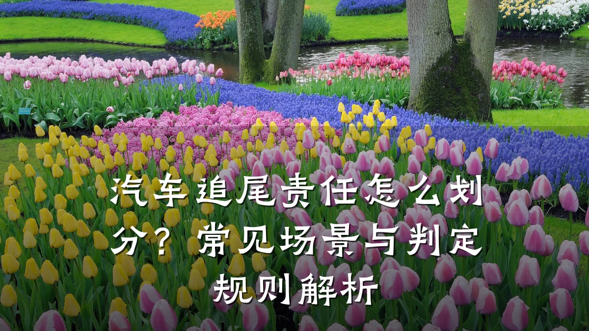 汽车追尾责任怎么划分？常见场景与判定规则解析