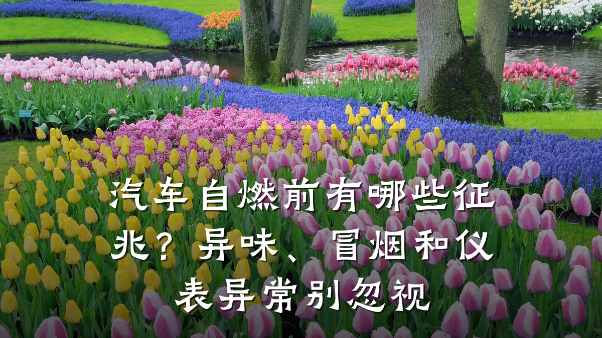 汽车自燃前有哪些征兆？异味、冒烟和仪表异常别忽视