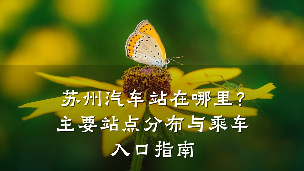 苏州汽车站在哪里?主要站点分布与乘车入口指南