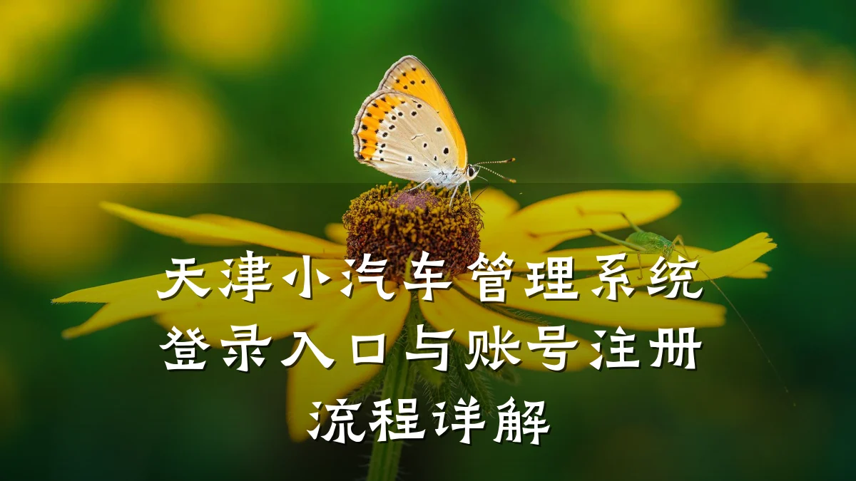 天津小汽车管理系统登录入口与账号注册流程详解