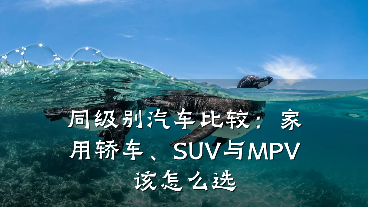 同级别汽车比较:家用轿车、SUV与MPV该怎么选