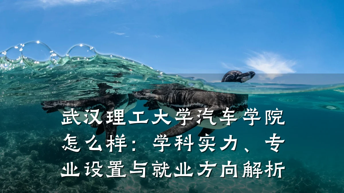 武汉理工大学汽车学院怎么样:学科实力、专业设置与就业方向解析