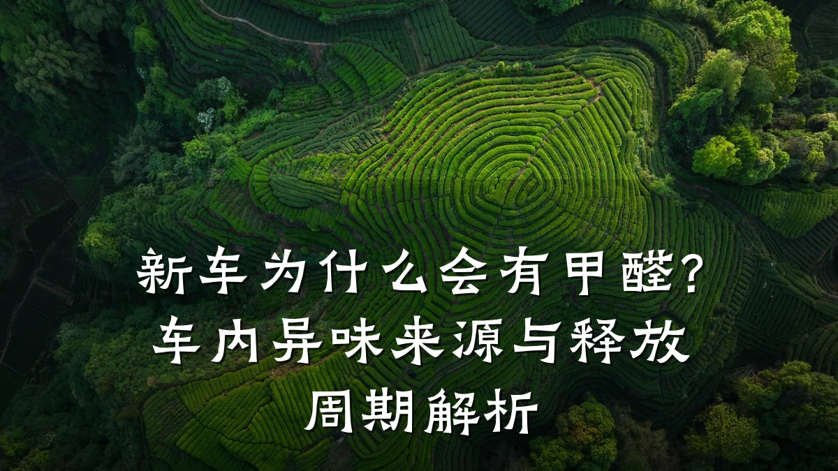 新车为什么会有甲醛?车内异味来源与释放周期解析