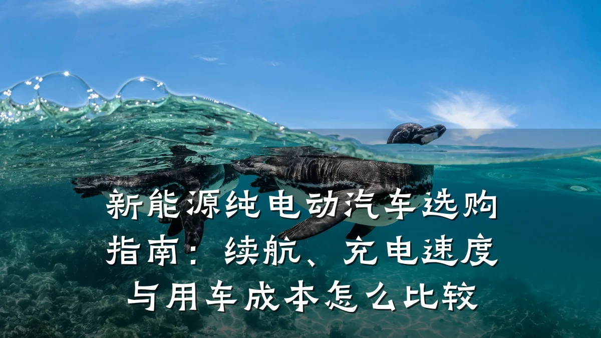 新能源纯电动汽车选购指南:续航、充电速度与用车成本怎么比较