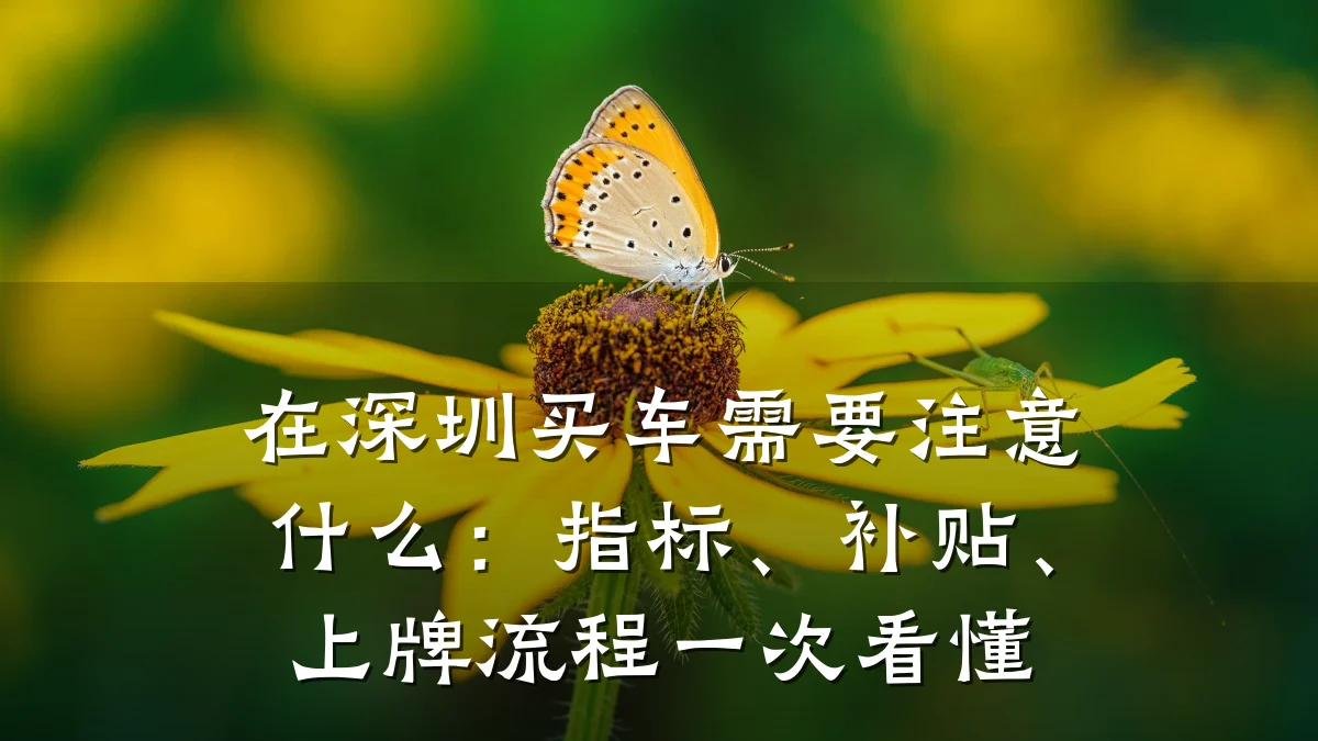 在深圳买车需要注意什么:指标、补贴、上牌流程一次看懂