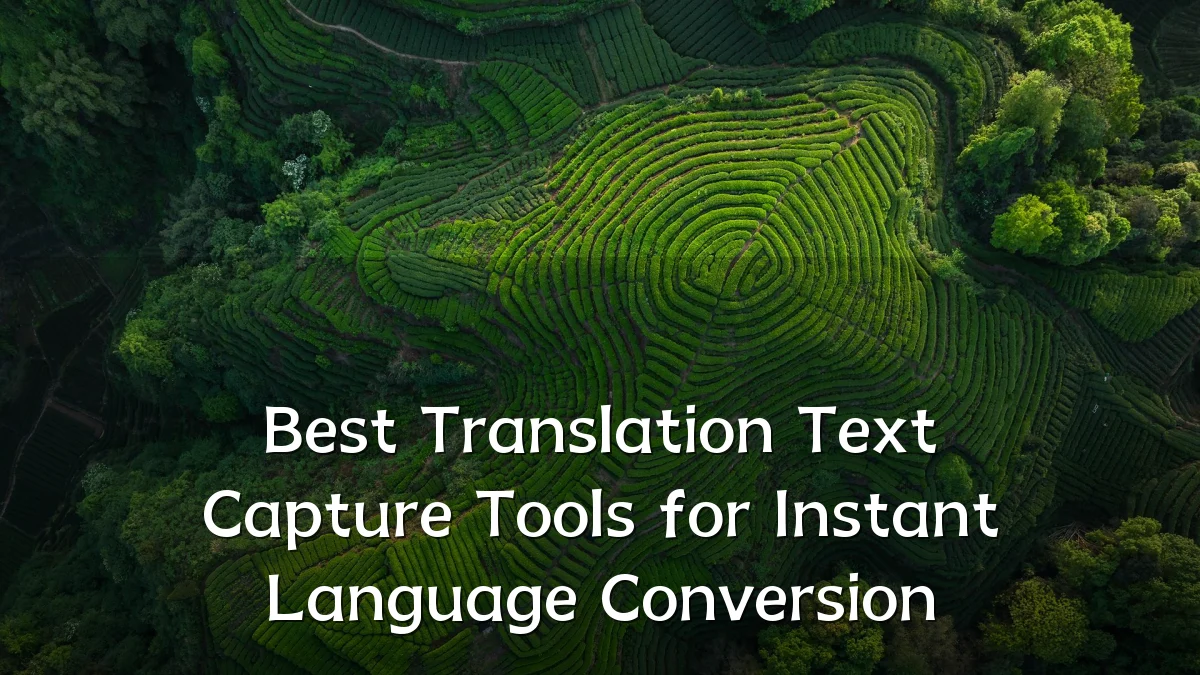 Best Translation Text Capture Tools for Instant Language Conversion
