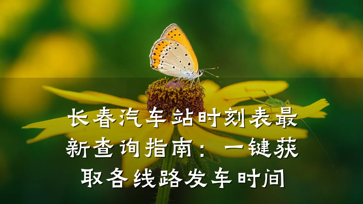 长春汽车站时刻表最新查询指南:一键获取各线路发车时间
