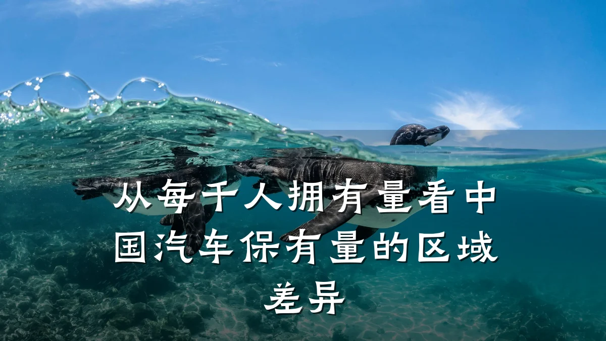 从每千人拥有量看中国汽车保有量的区域差异