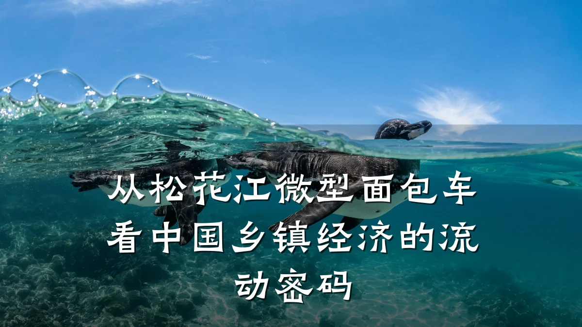 从松花江微型面包车看中国乡镇经济的流动密码