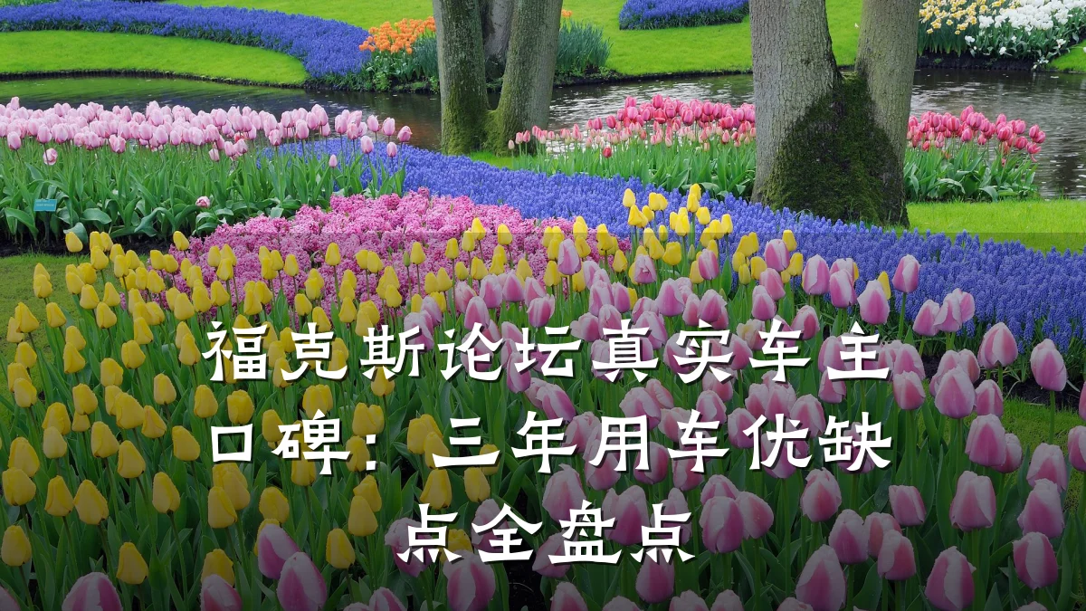 福克斯论坛真实车主口碑:三年用车优缺点全盘点