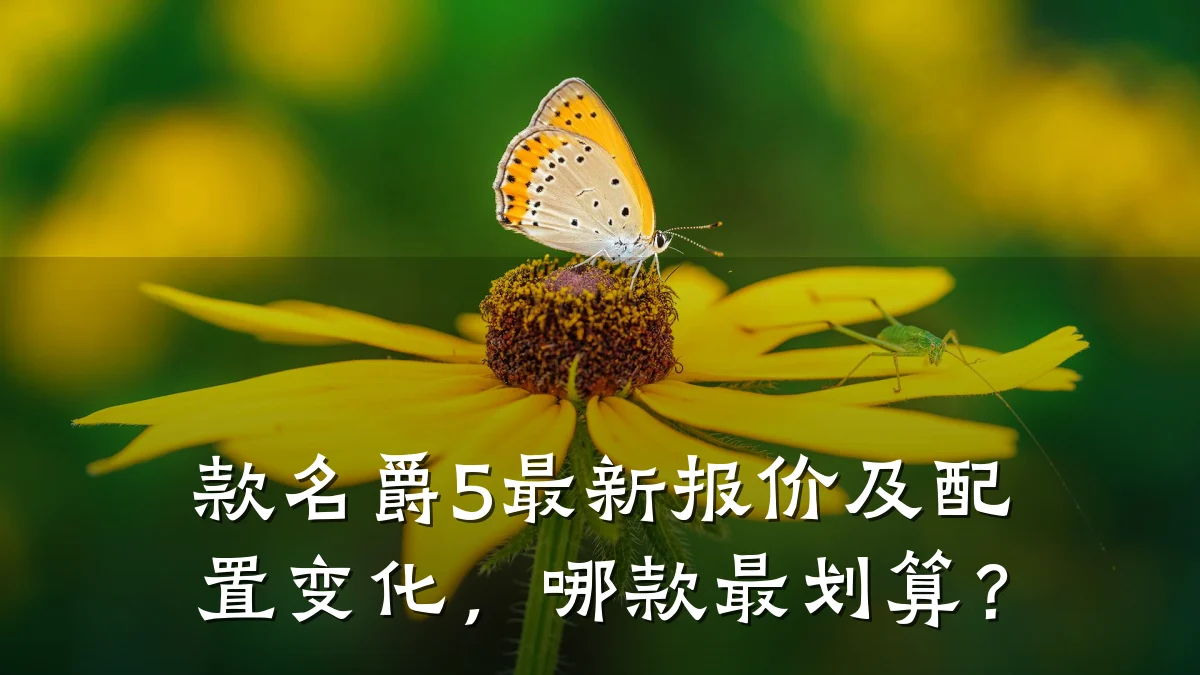 款名爵5最新报价及配置变化，哪款最划算？