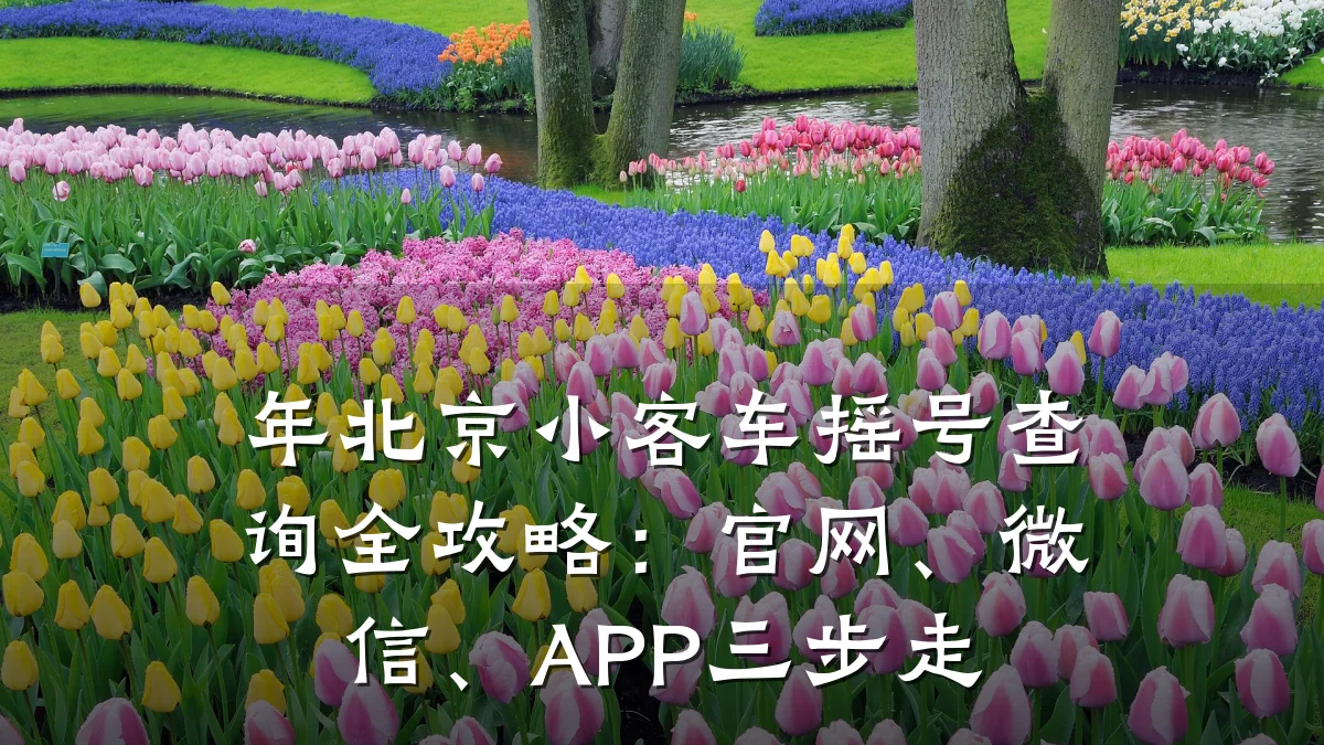 年北京小客车摇号查询全攻略：官网、微信、APP三步走