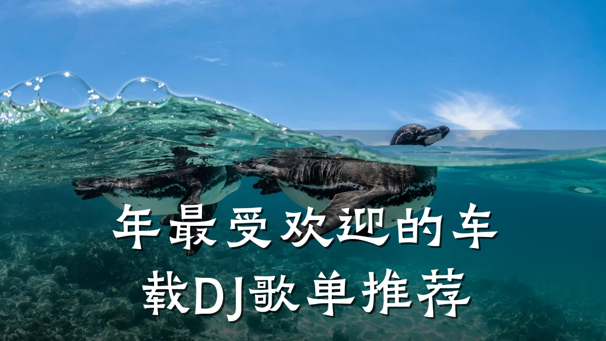 年最受欢迎的车载DJ歌单推荐
