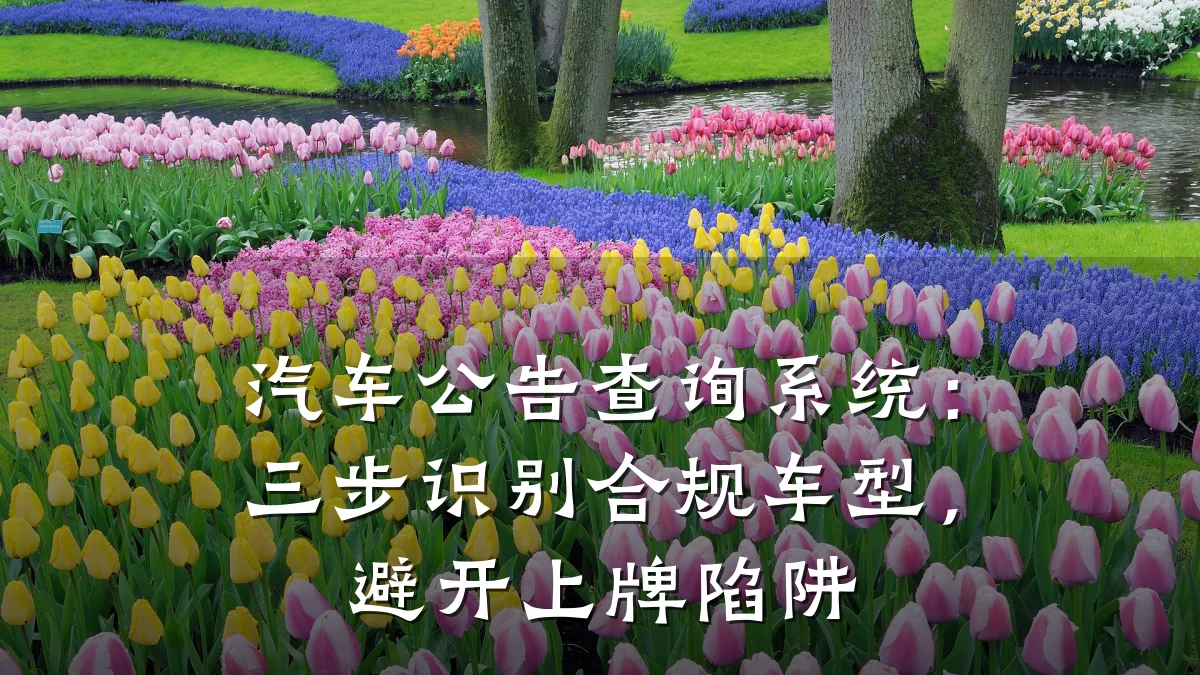 汽车公告查询系统:三步识别合规车型,避开上牌陷阱