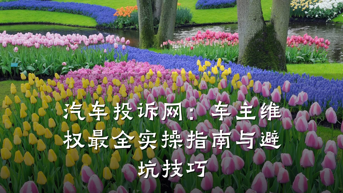 汽车投诉网:车主维权最全实操指南与避坑技巧