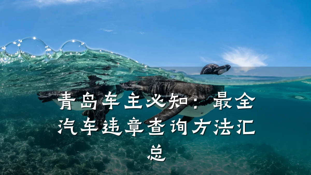 青岛车主必知：最全汽车违章查询方法汇总