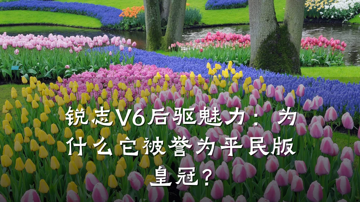 锐志V6后驱魅力:为什么它被誉为平民版皇冠?