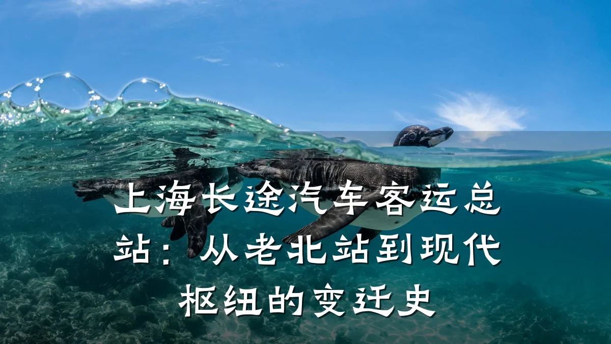 上海长途汽车客运总站:从老北站到现代枢纽的变迁史