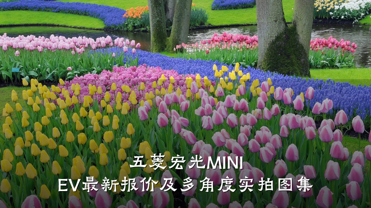 五菱宏光MINI EV最新报价及多角度实拍图集