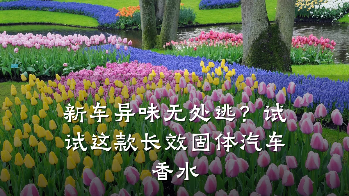 新车异味无处逃?试试这款长效固体汽车香水