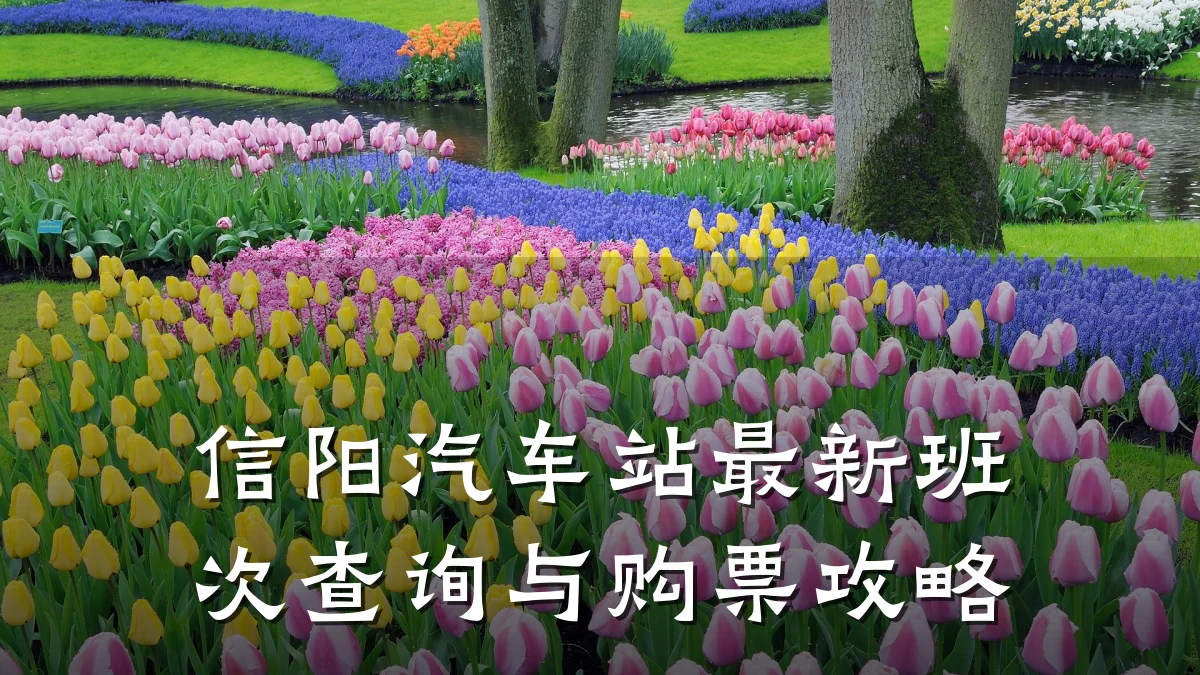 信阳汽车站最新班次查询与购票攻略