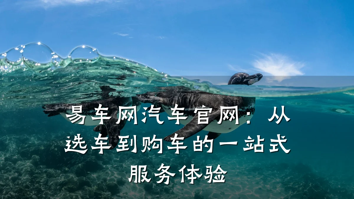 易车网汽车官网:从选车到购车的一站式服务体验
