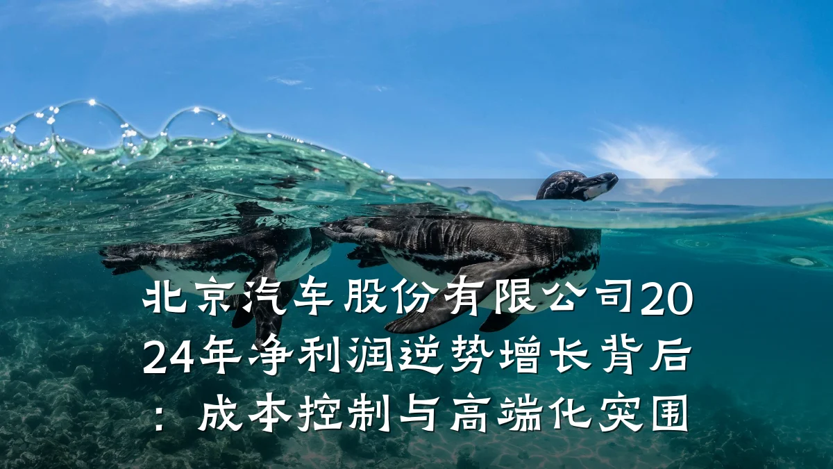 北京汽车股份有限公司2024年净利润逆势增长背后:成本控制与高端化突围