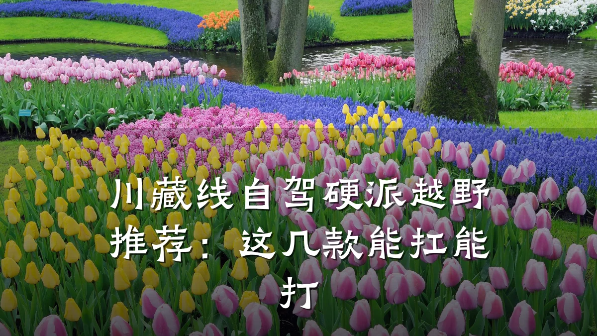 川藏线自驾硬派越野推荐：这几款能扛能打