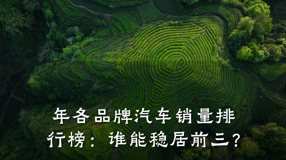 年各品牌汽车销量排行榜:谁能稳居前三?