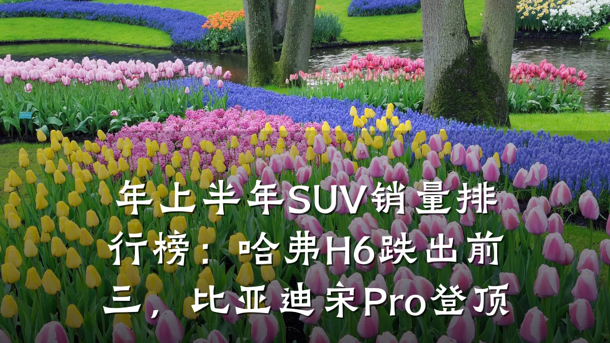年上半年SUV销量排行榜:哈弗H6跌出前三,比亚迪宋Pro登顶