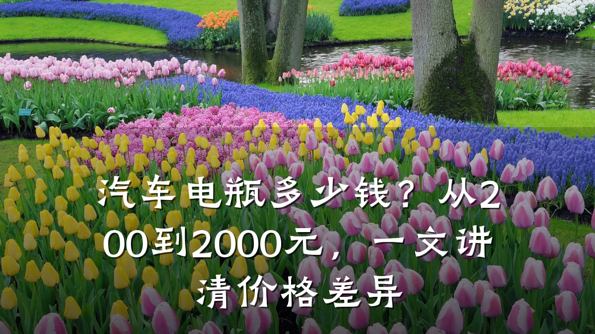 汽车电瓶多少钱?从200到2000元,一文讲清价格差异