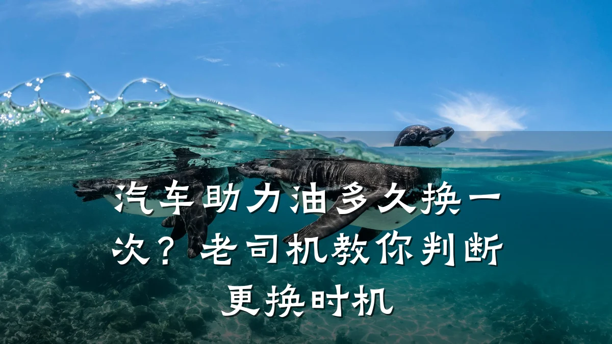 汽车助力油多久换一次？老司机教你判断更换时机