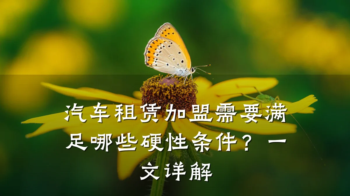 汽车租赁加盟需要满足哪些硬性条件?一文详解