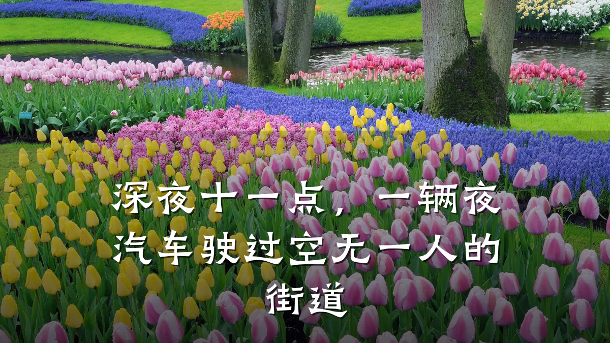 深夜十一点，一辆夜汽车驶过空无一人的街道