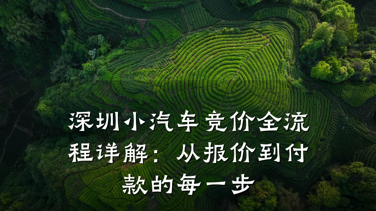 深圳小汽车竞价全流程详解:从报价到付款的每一步