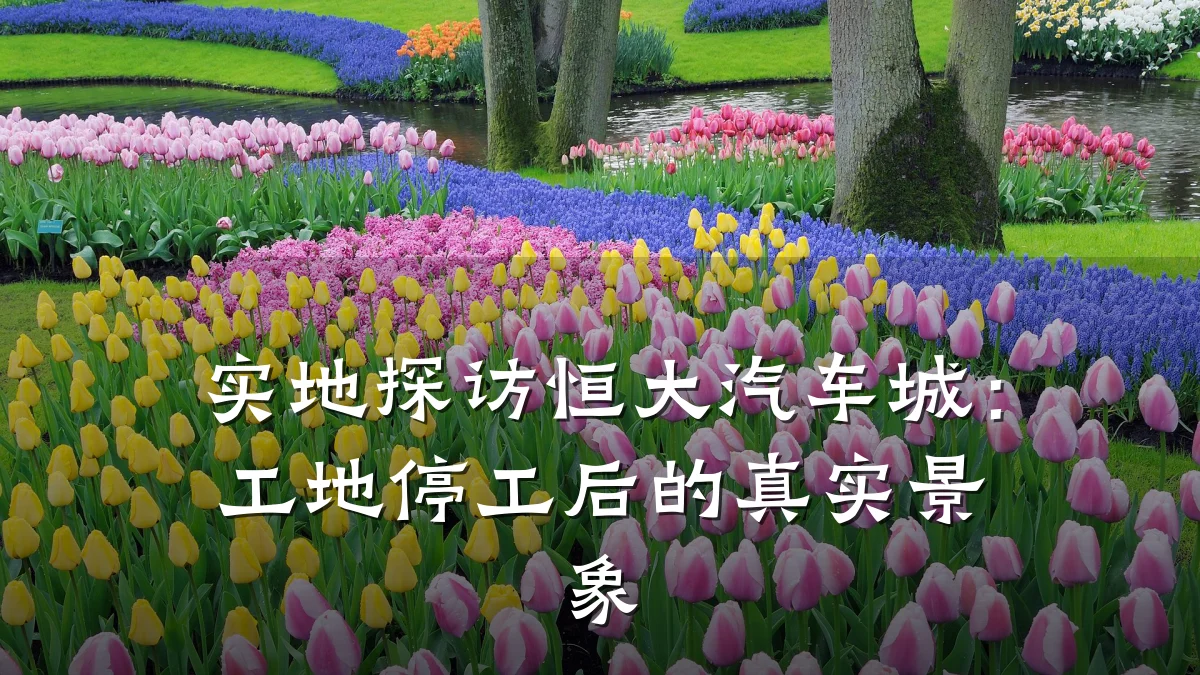 实地探访恒大汽车城:工地停工后的真实景象