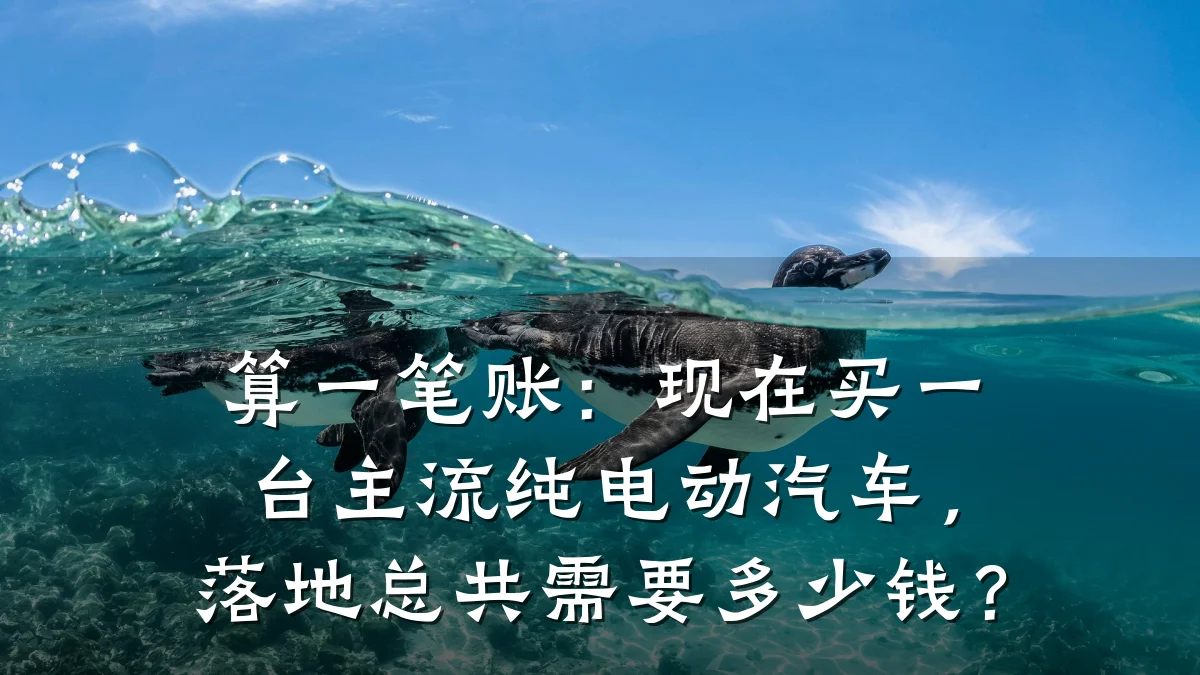 算一笔账:现在买一台主流纯电动汽车,落地总共需要多少钱?