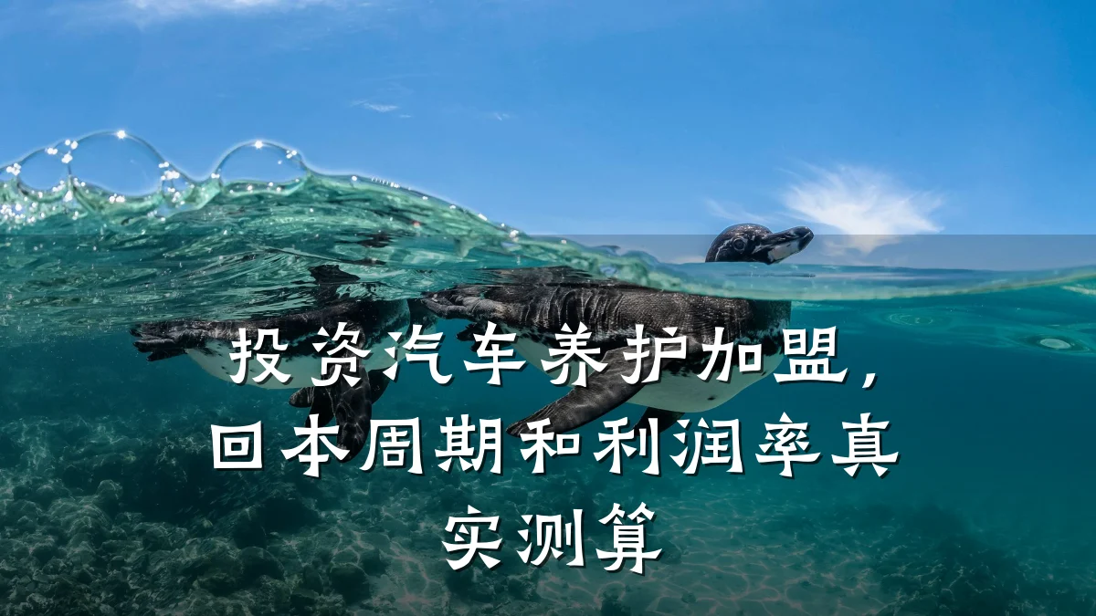 投资汽车养护加盟,回本周期和利润率真实测算