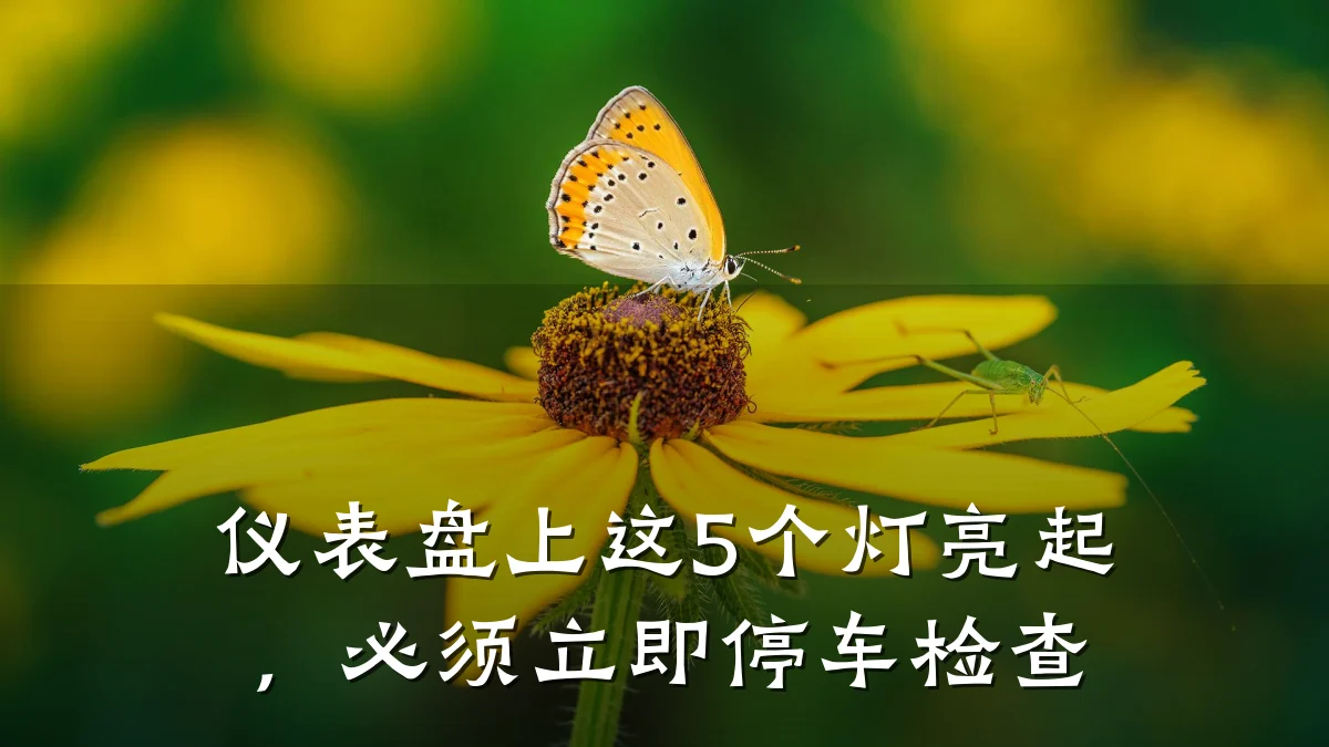 仪表盘上这5个灯亮起,必须立即停车检查