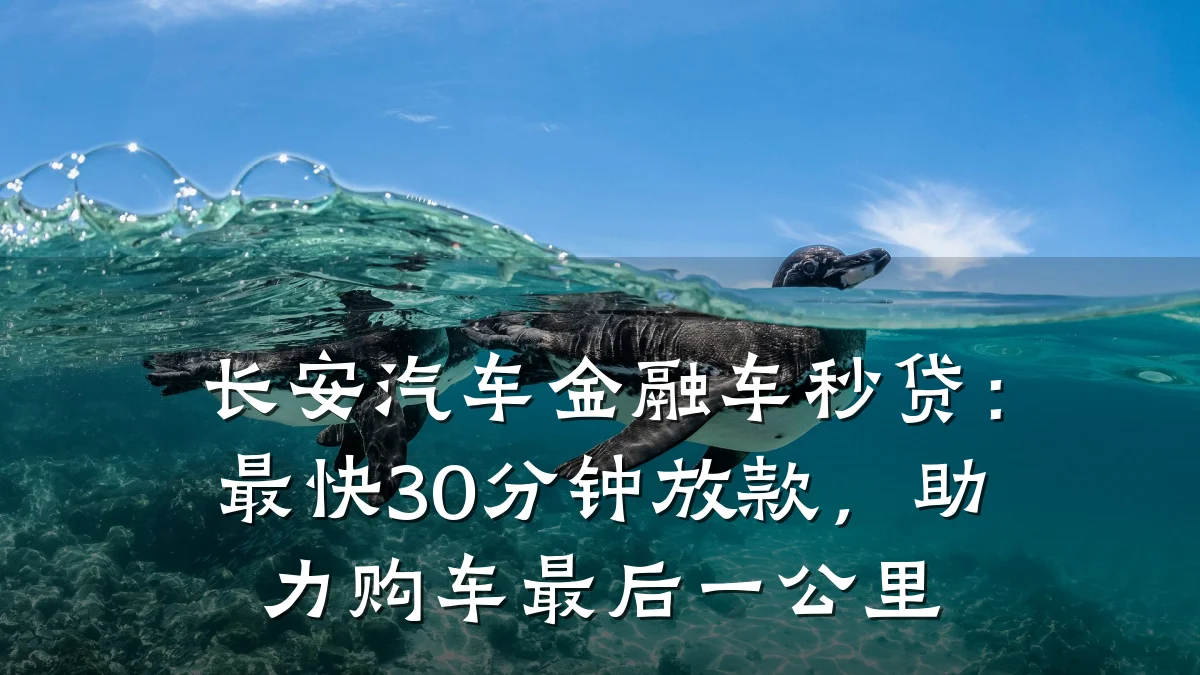 长安汽车金融车秒贷:最快30分钟放款,助力购车最后一公里