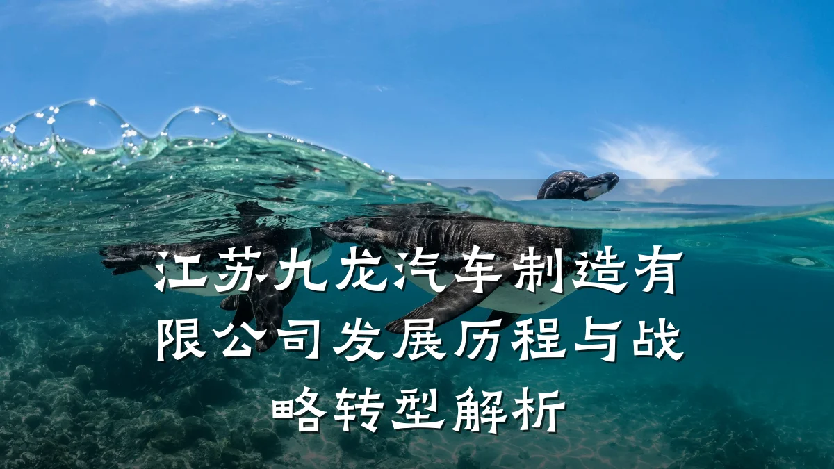 江苏九龙汽车制造有限公司发展历程与战略转型解析
