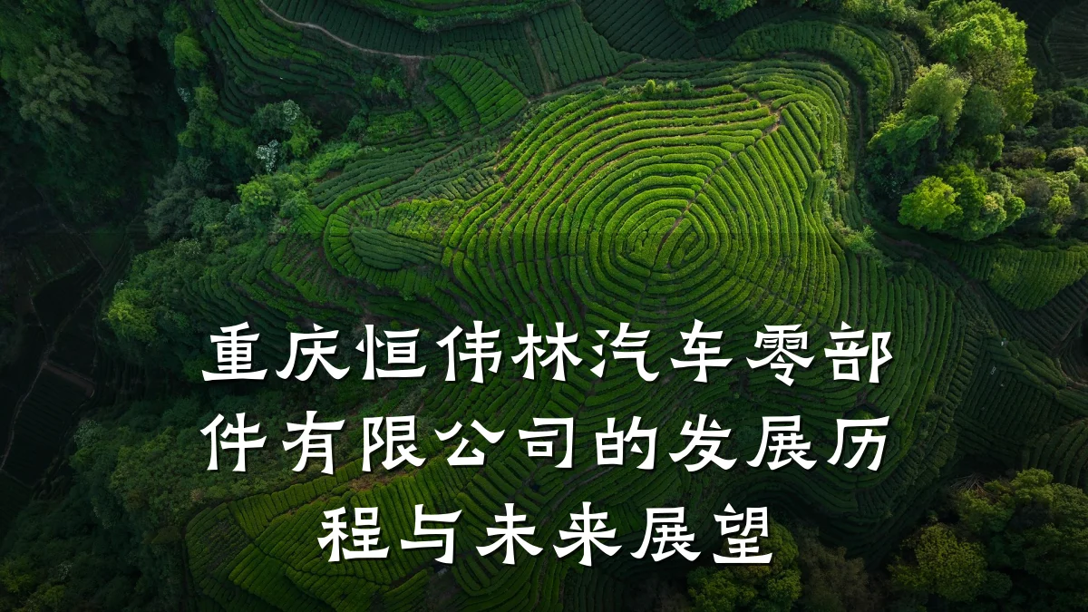 重庆恒伟林汽车零部件有限公司的发展历程与未来展望