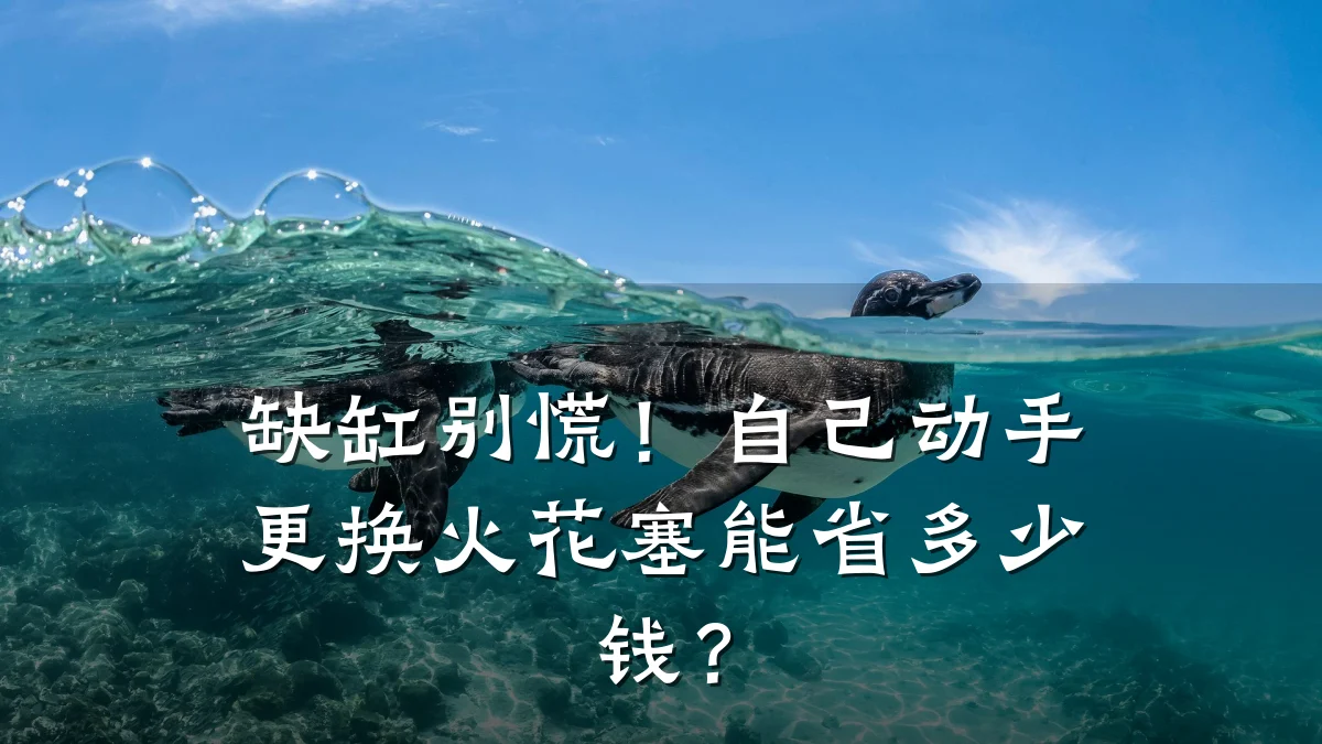缺缸别慌!自己动手更换火花塞能省多少钱?