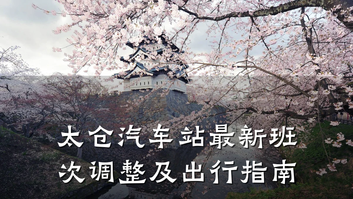 太仓汽车站最新班次调整及出行指南